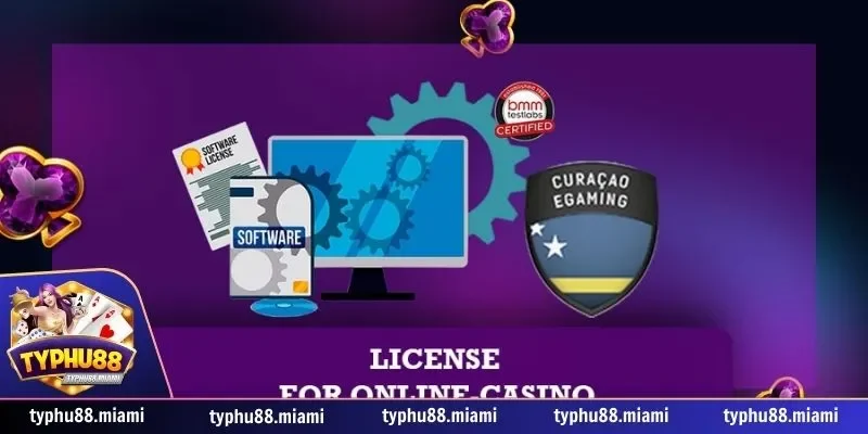 Giấy phép 2 Tầm quan trọng của giấy phép hoạt động Typhu88
